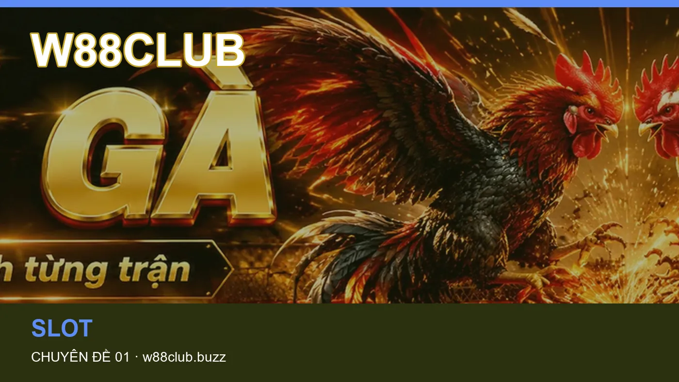 Hình minh họa bài viết W88CLUB